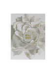 Musk & Roses